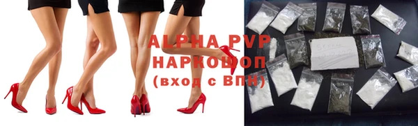 ГАЛЛЮЦИНОГЕННЫЕ ГРИБЫ Вязники