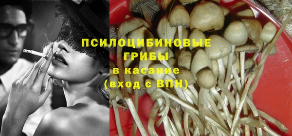 ГАЛЛЮЦИНОГЕННЫЕ ГРИБЫ Вязники