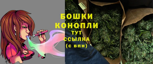 дживик Вязьма