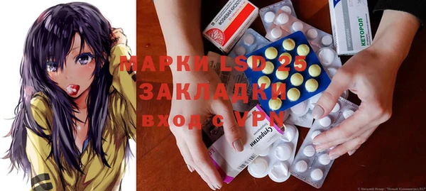 ГАЛЛЮЦИНОГЕННЫЕ ГРИБЫ Вязники