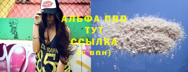 ГАЛЛЮЦИНОГЕННЫЕ ГРИБЫ Вязники