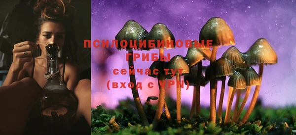 кокаин Вяземский