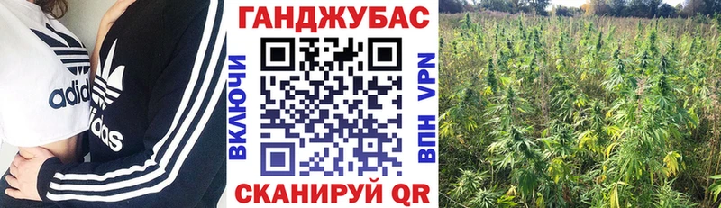 Бошки марихуана планчик  Купить где  Хилок 